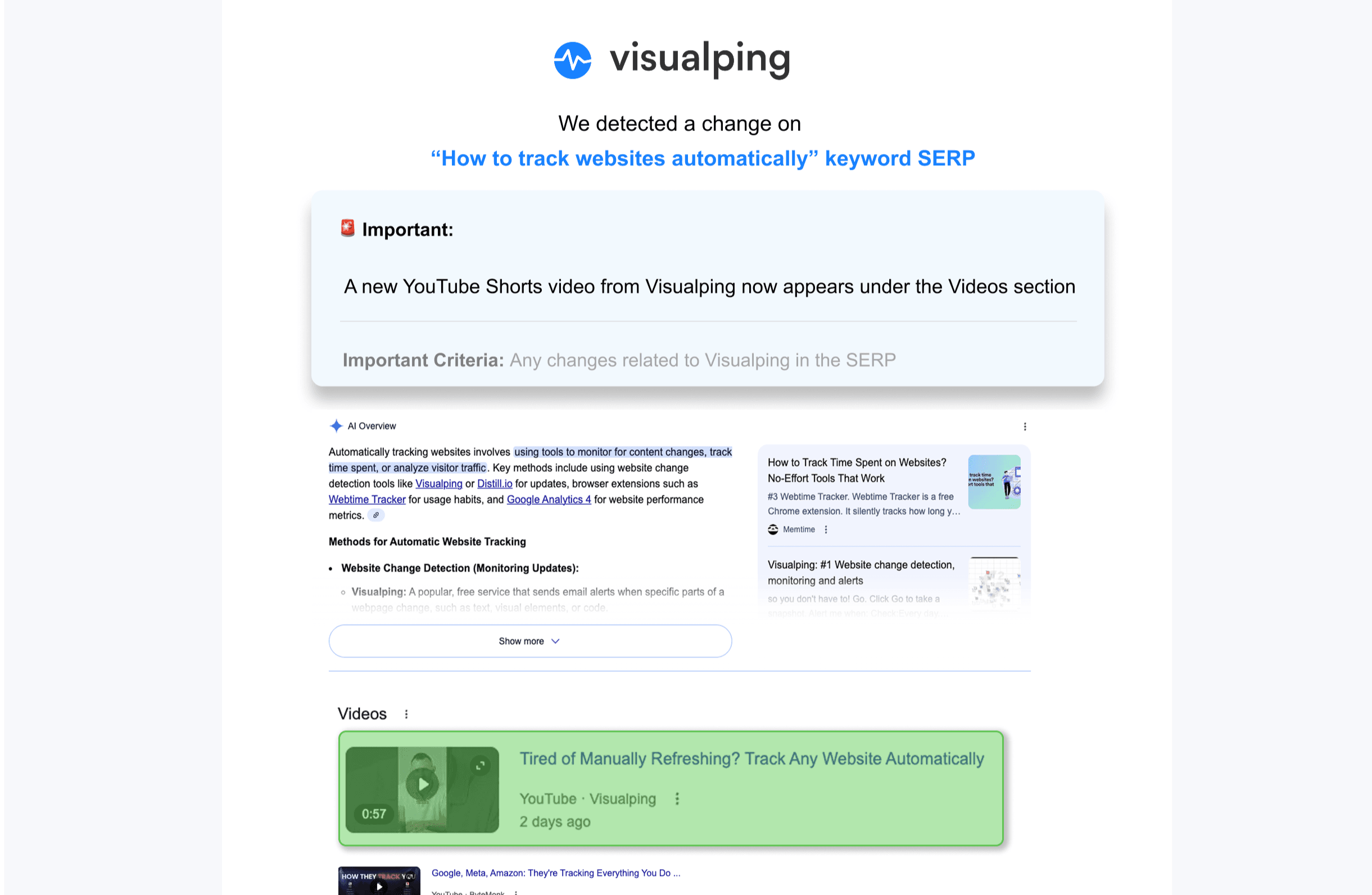 Visualping SERP example.png