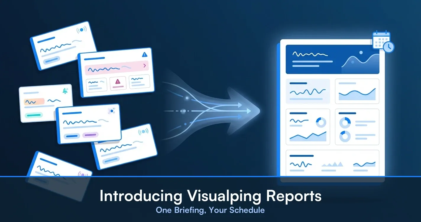 Introducing Visualping Reports